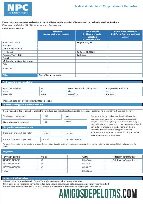 Em branco modelo de conta de serviços públicos de gás de Barbados National Petroleum Corporation em formato Word e PDF